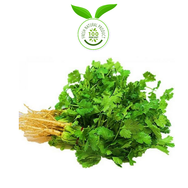 Coriander