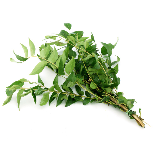 Curry Leaves