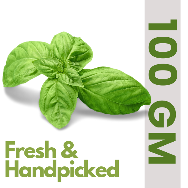 Fresh Basil Leaves (100 gm)