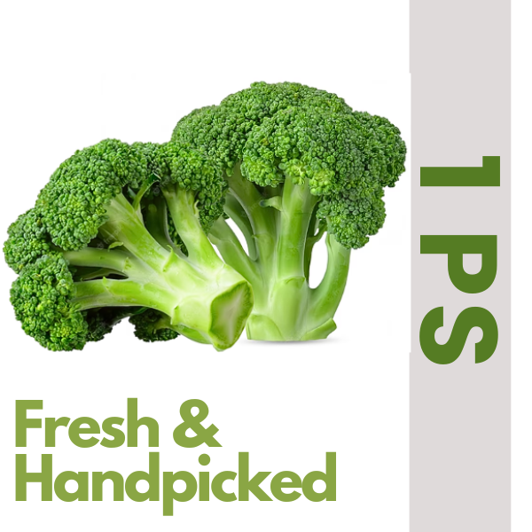 Fresh Broccoli (1 ps) (Approx. 200 gm to 400 gm)