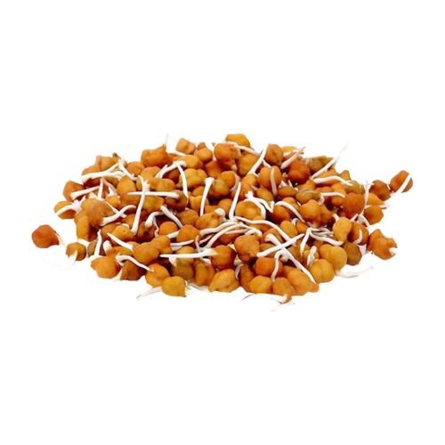 Sprout Chana