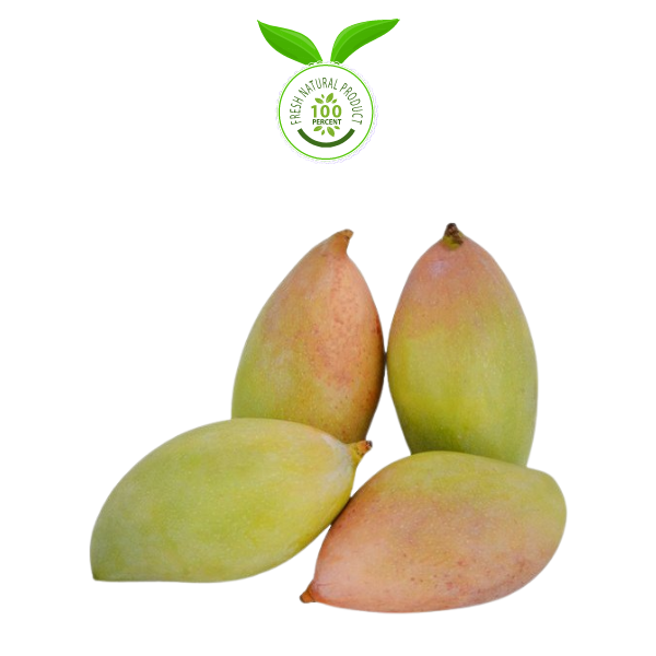 Totapuri Mangoes