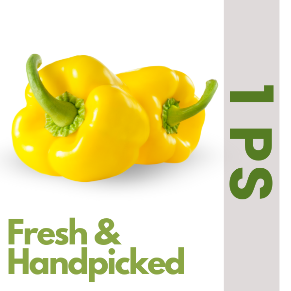 Yellow Capsicum (1 ps) (Approx. 200 gm to 400 gm)