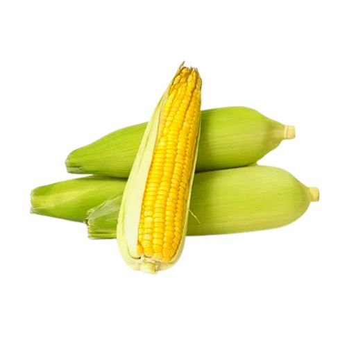 Corn(makai)