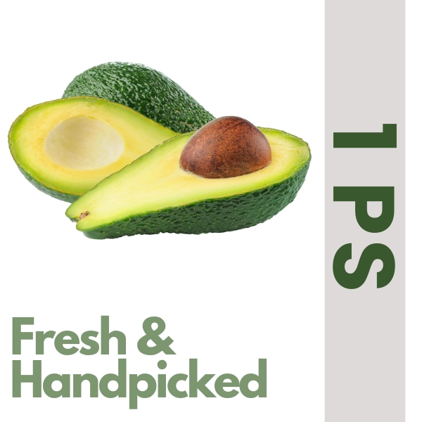 Avocado fresh & Handpicked