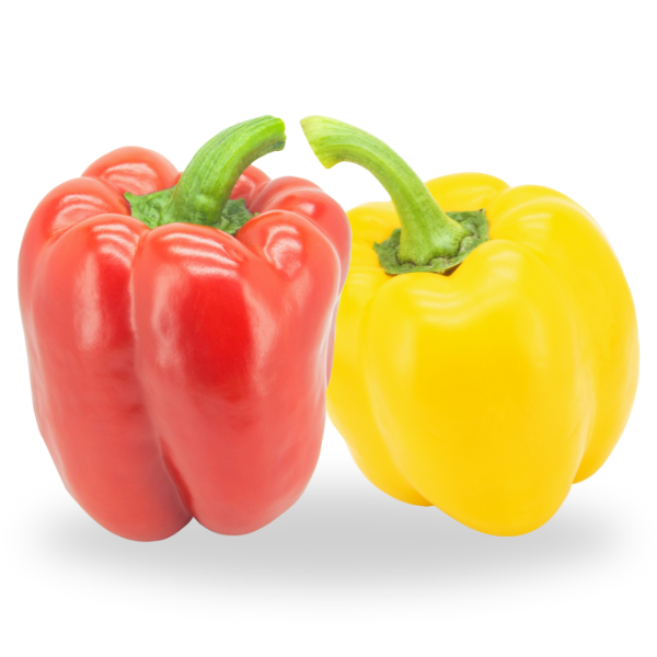 Red and Yellow Capsicum