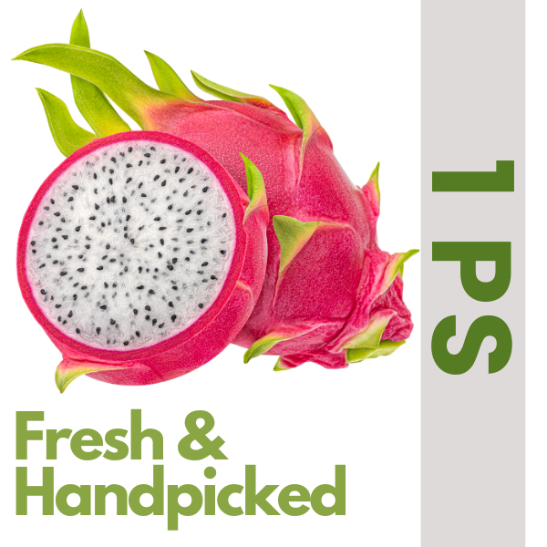 Dragon Fruit White (1 ps)